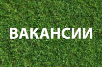 shkola