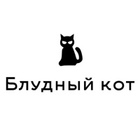Блудный кот